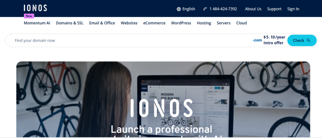 IONOS